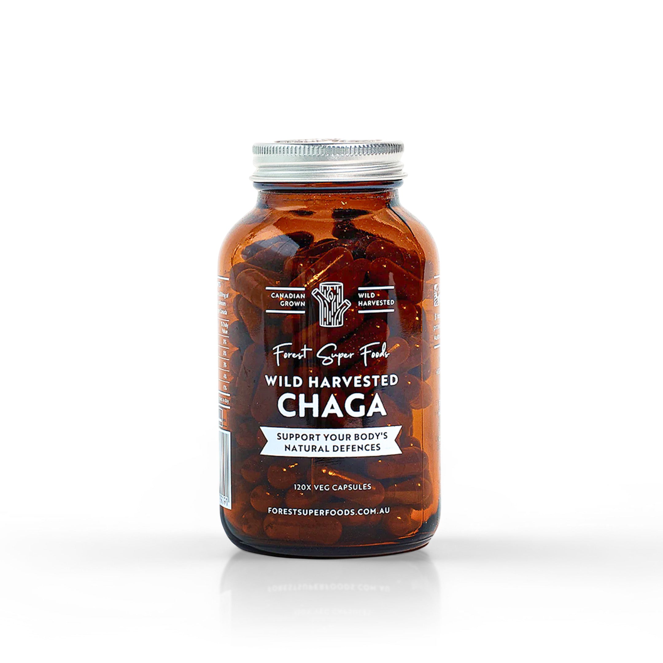 Wild Chaga Mushroom (Canada)