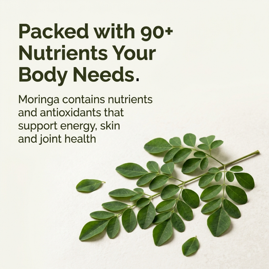 Moringa leaves with text about nutrients on a light background