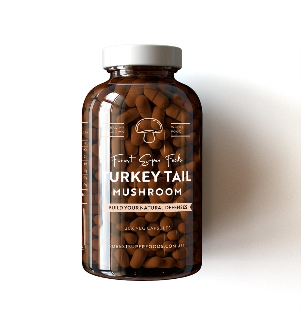 Daily Foundation Kit