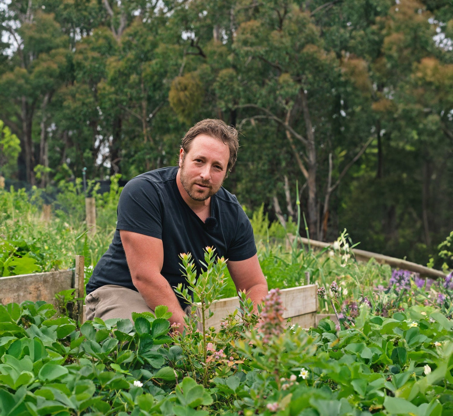 The 4 supplements I take every day as the founder of Forest Super Foods