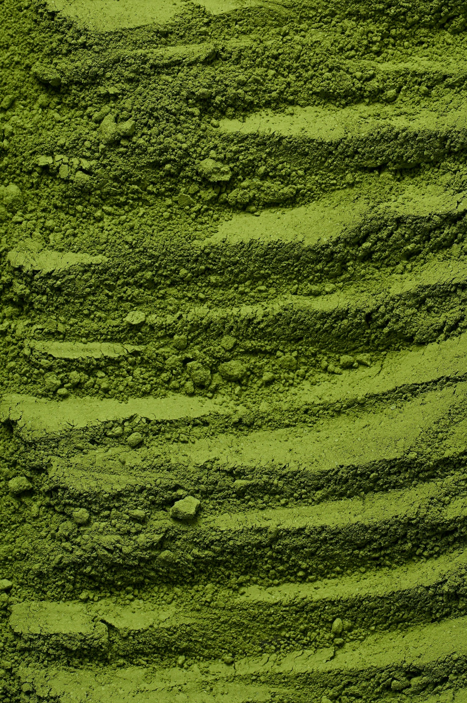 Moringa Leaf Powder: Possible Side Effects and Considerations