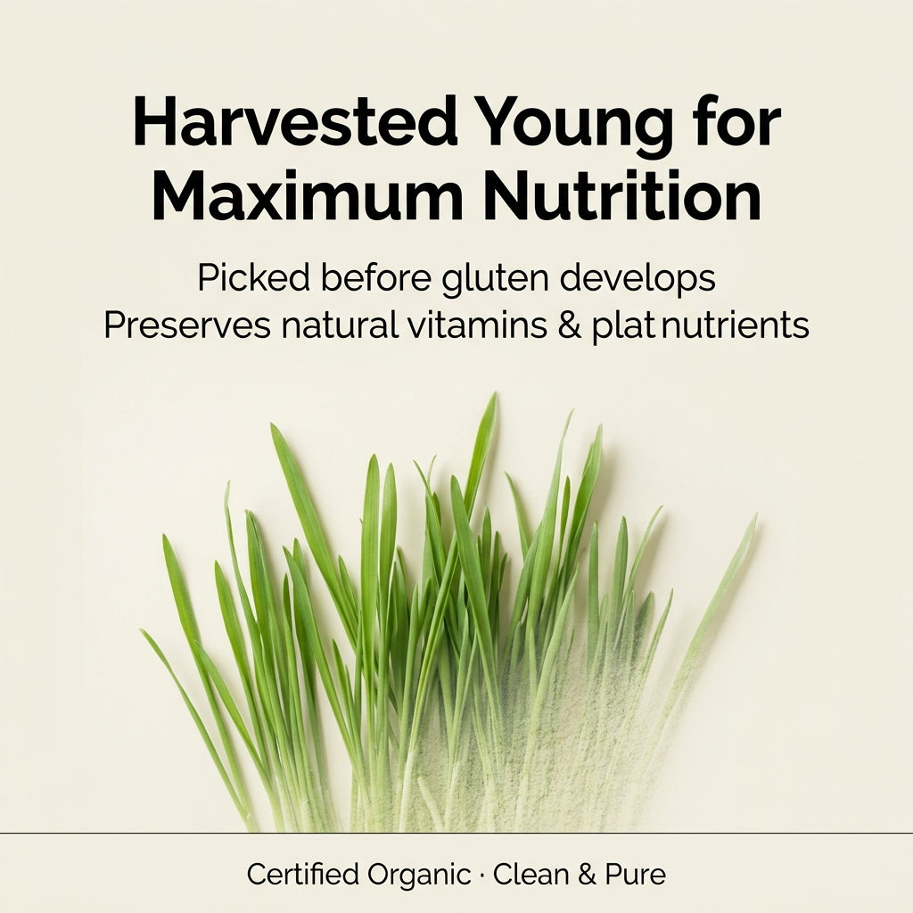 Certified Organic Australian Barley Grass